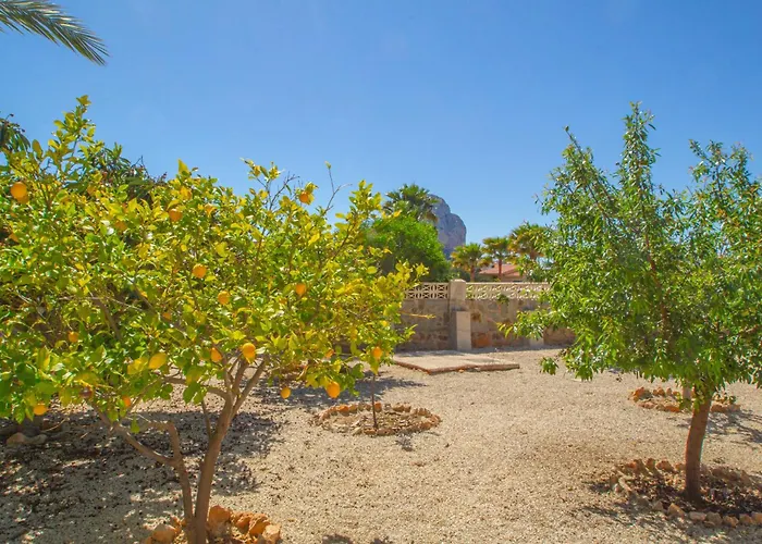 Cohete - Plusholidays Willa Ifach